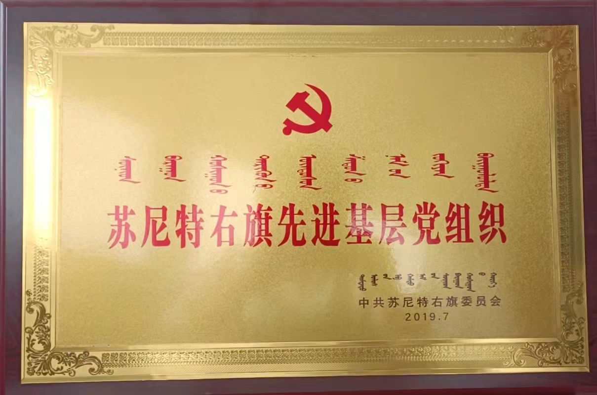 先進(jìn)基層黨組織