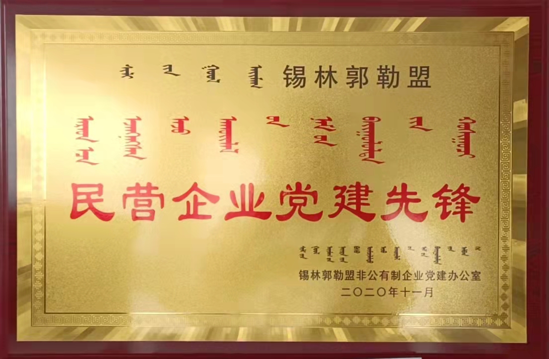 民營企業(yè)黨建先鋒